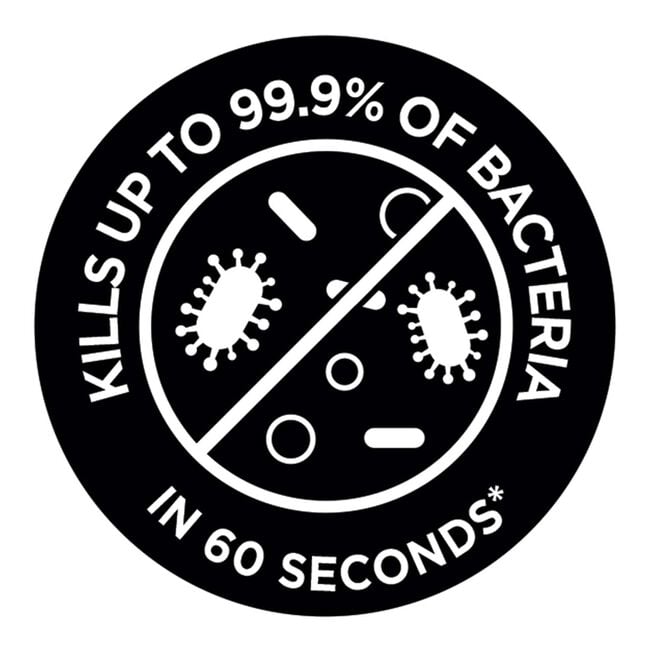 Russell Hobbs Steam Genie Essential