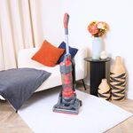 Rediffusion Pet Pro Upright Vacuum Cleaner
