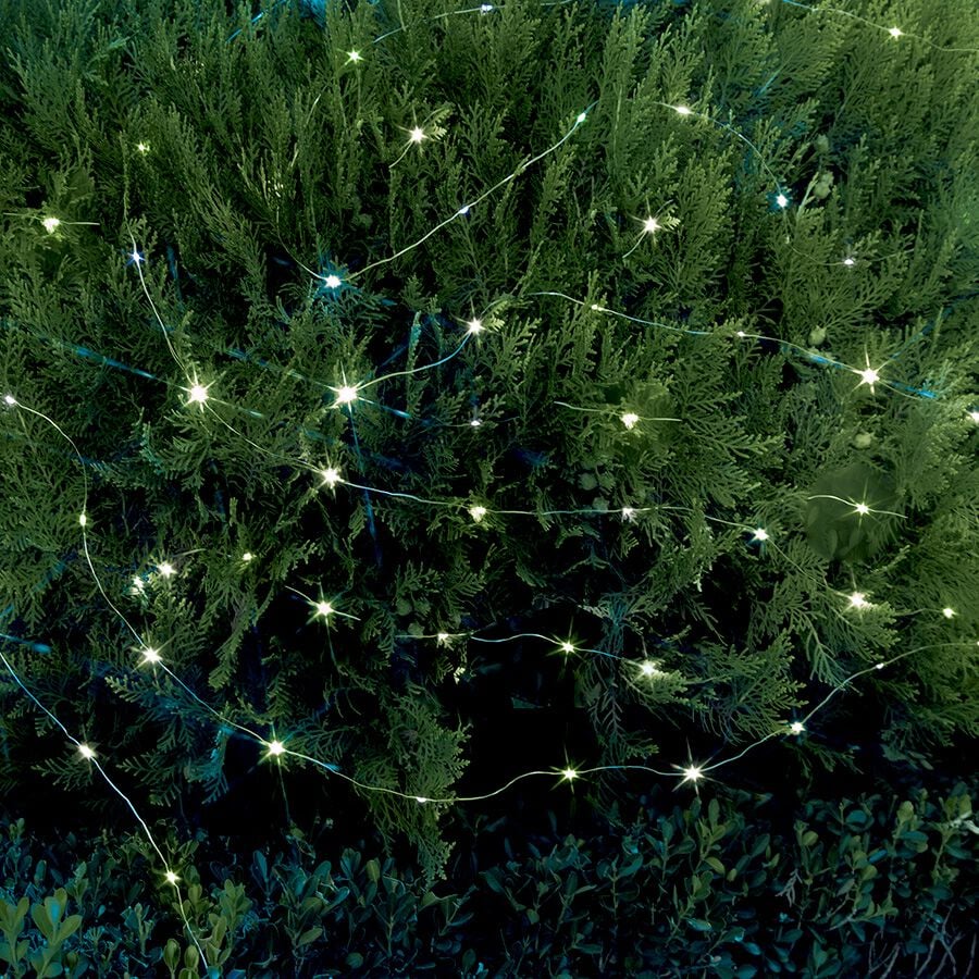 100 LED White Copper String Lights