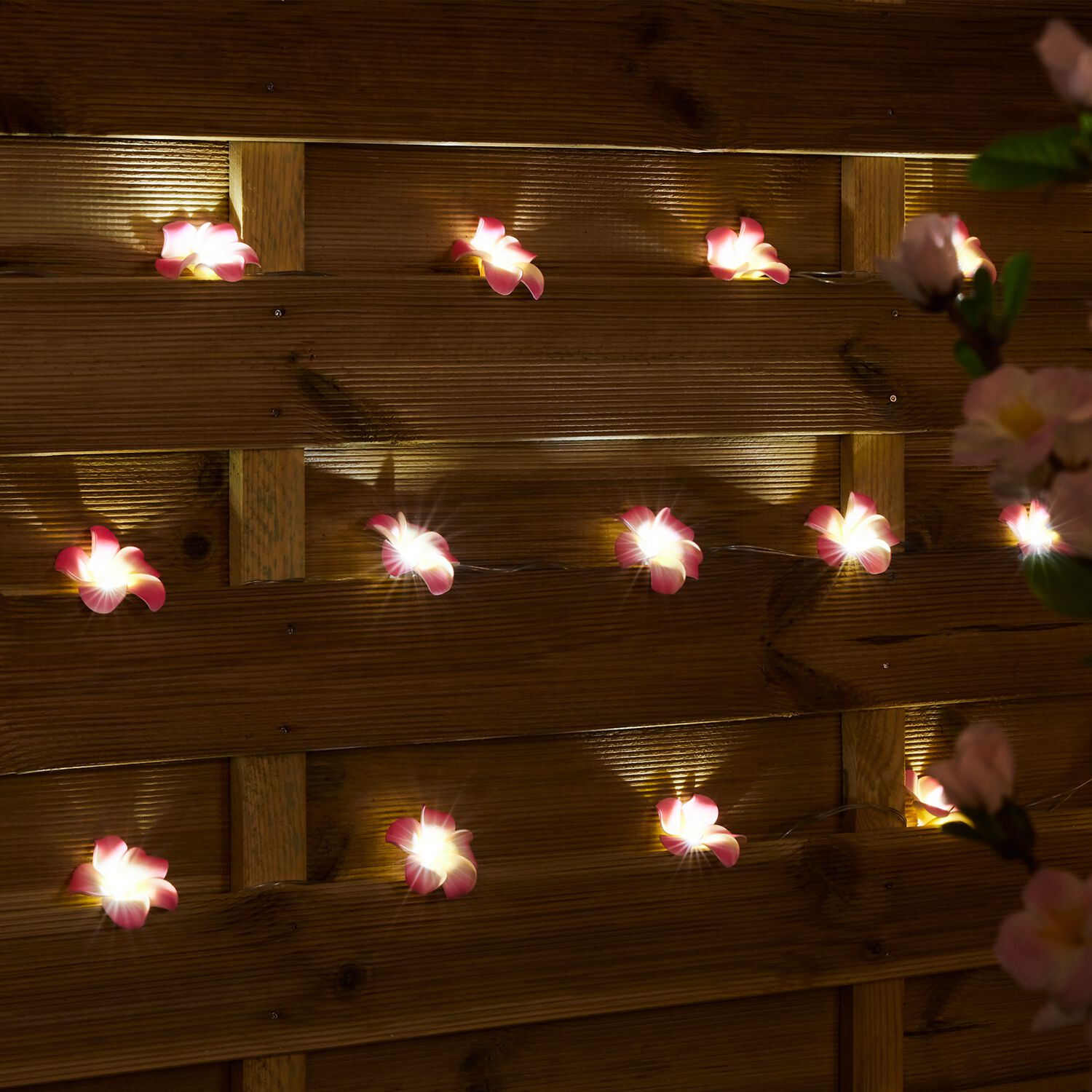 20 Pink Floral Solar String Lights