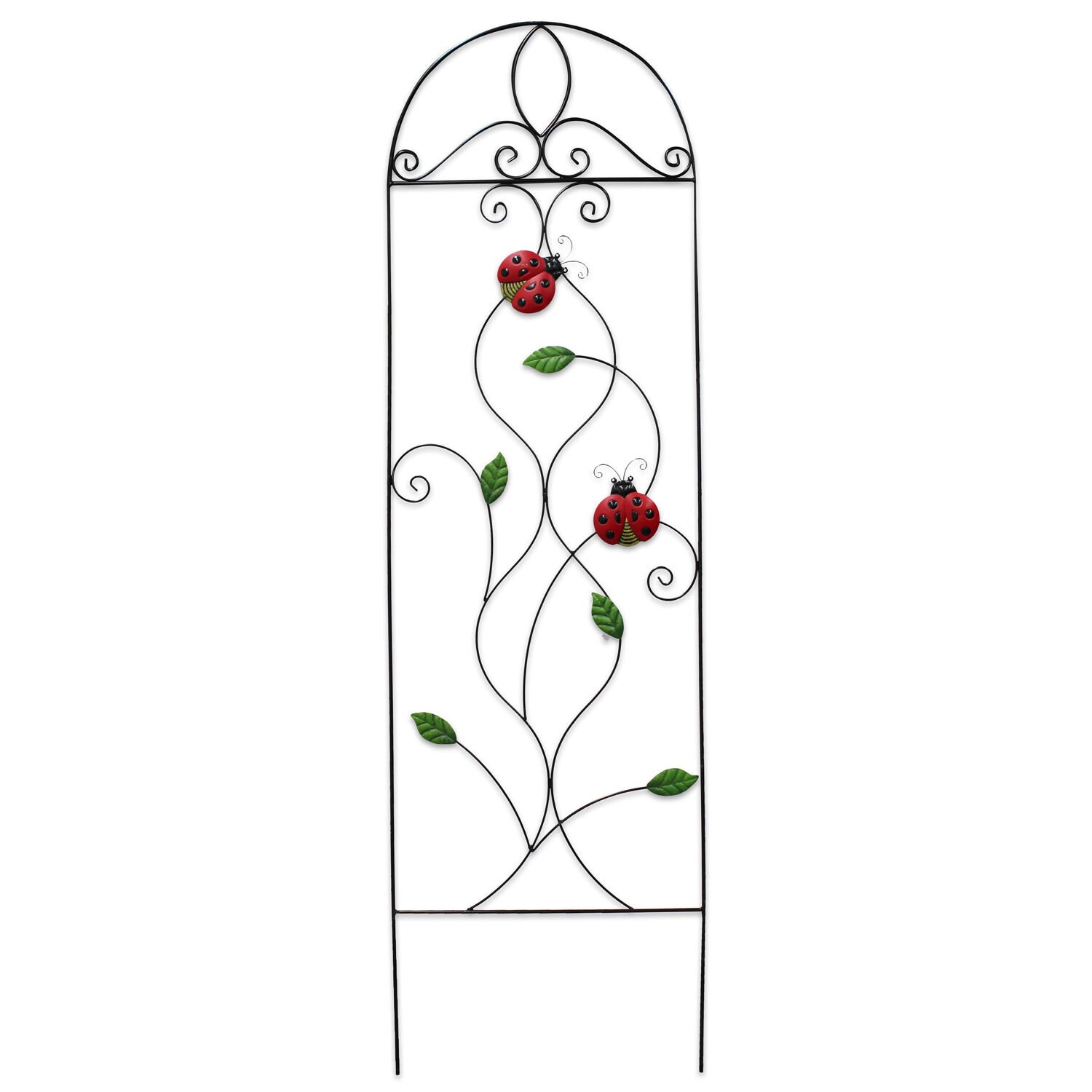 Arched Ladybird Trellis