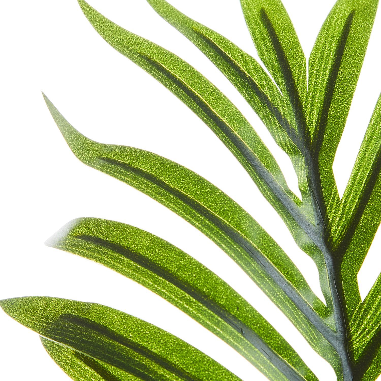 Areca Dark Green Palm Leaf