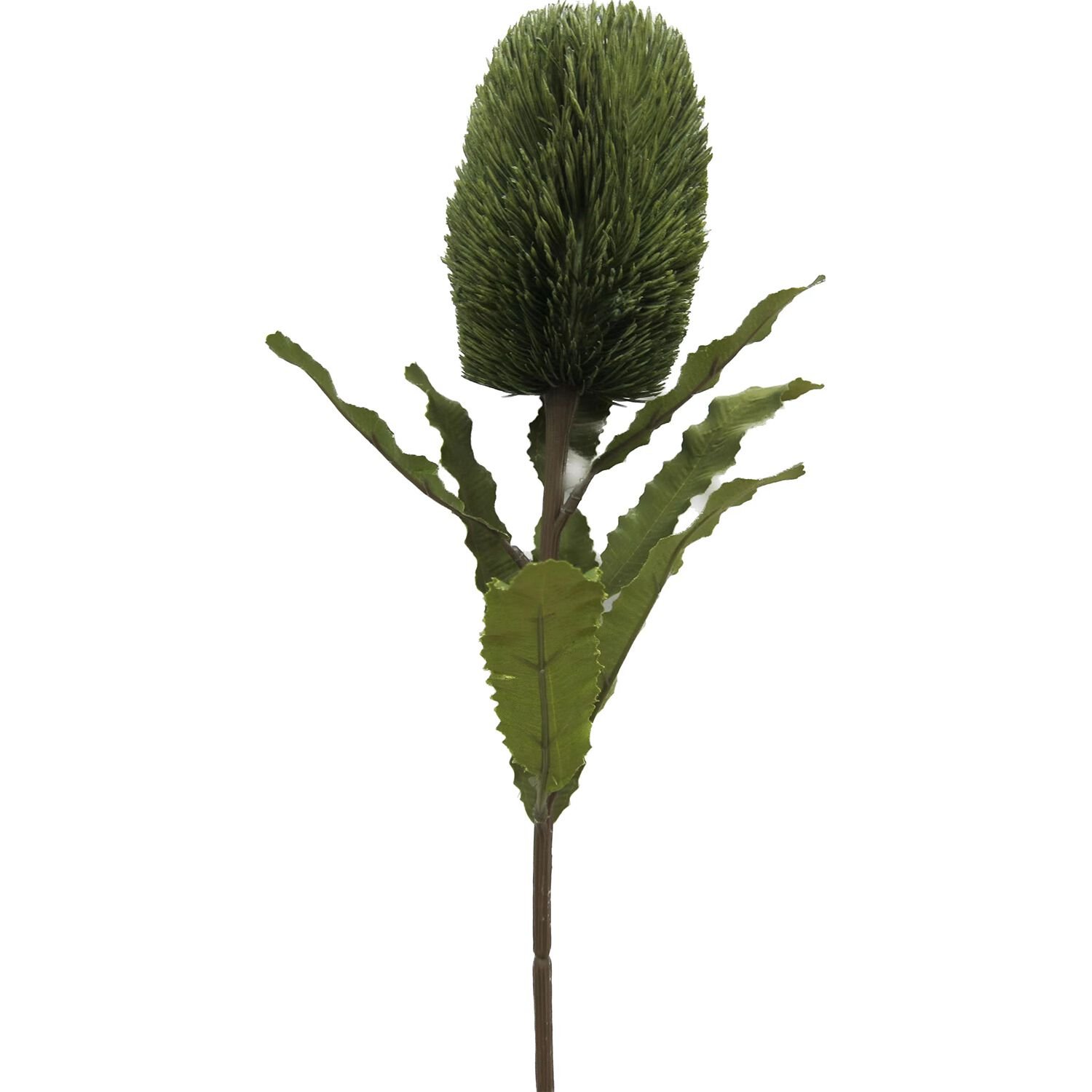 BANKSIA SPRAY Olive