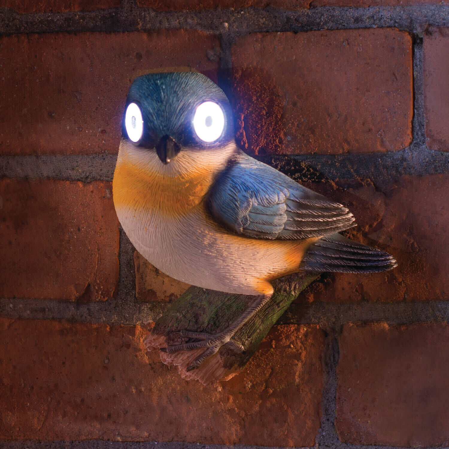 Bright Eye Bird Solar Light