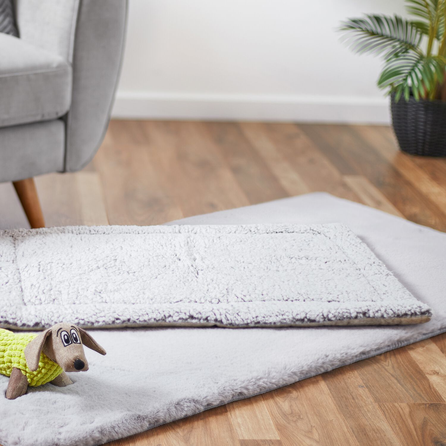 Charlie Plush Pet Blanket