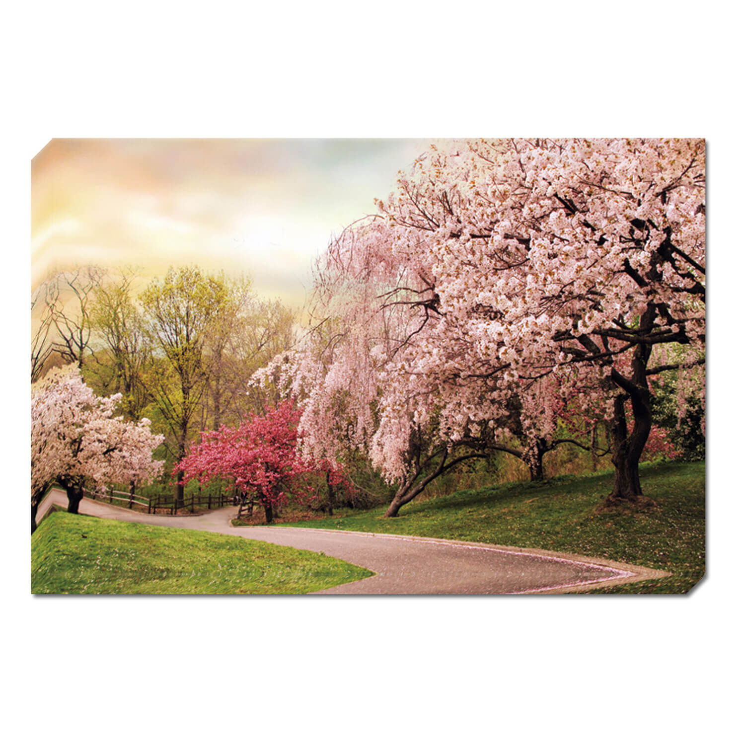 Cherrygrove Canvas