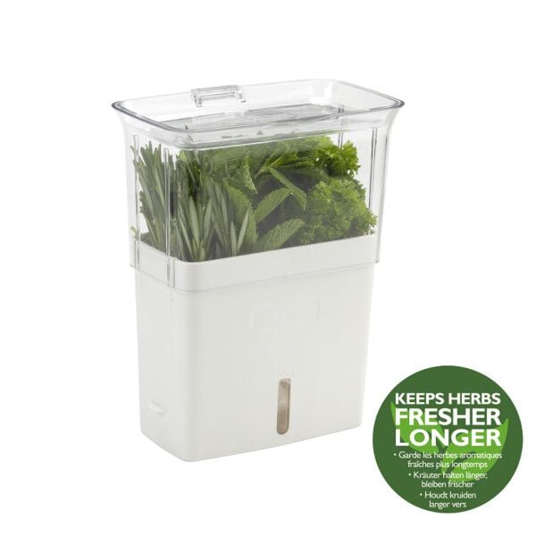 Cole & Mason Cut Herb Keeper