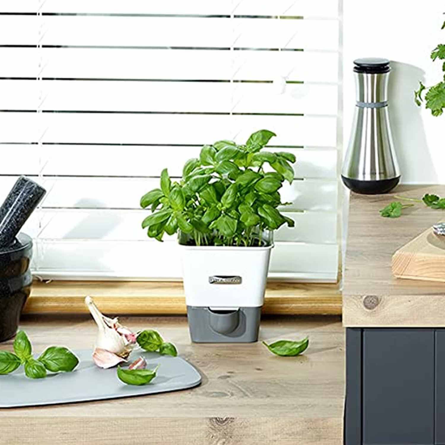 Cole & Mason Single Self Watering Herb Keeper