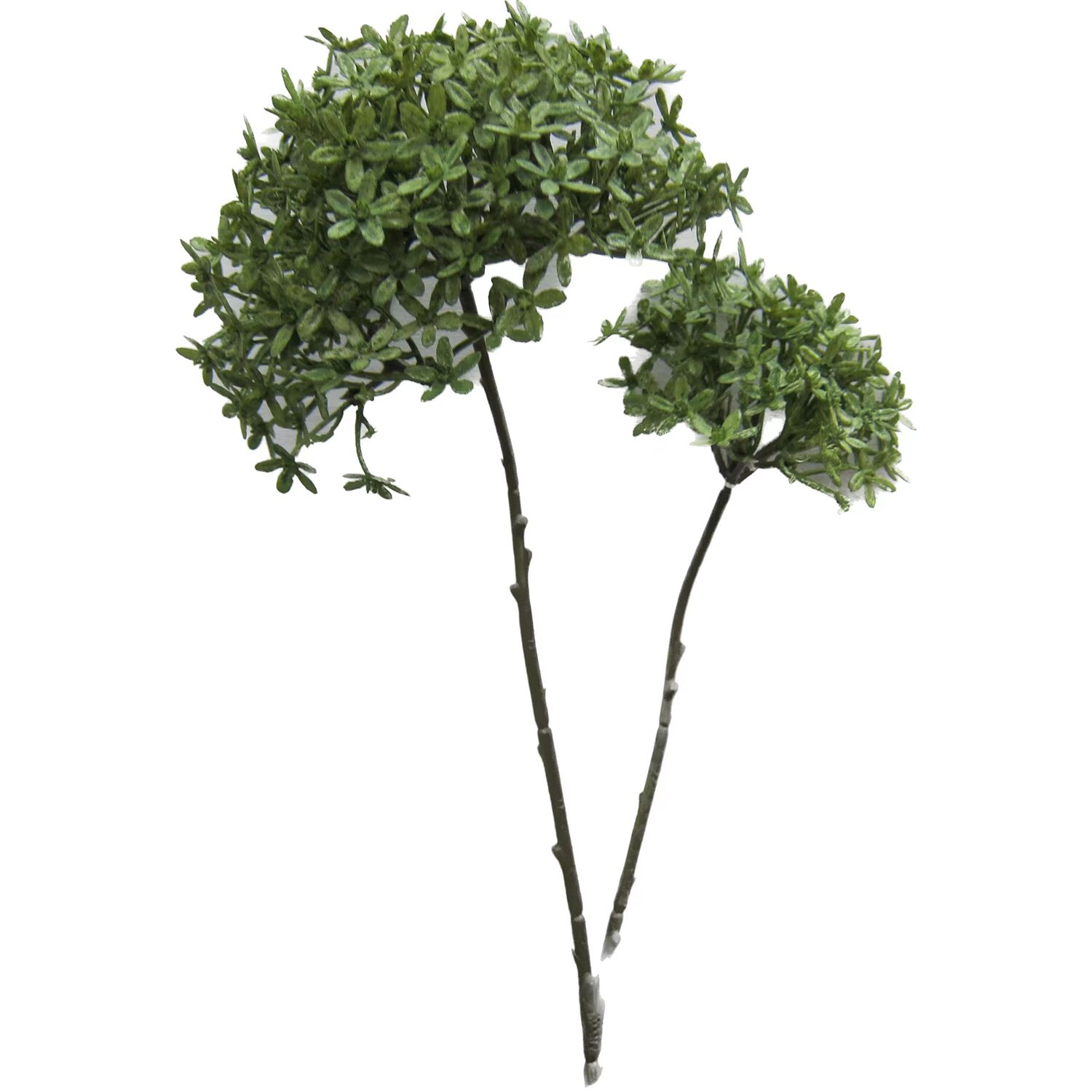 CROWN FLOWER BRANCH Olive