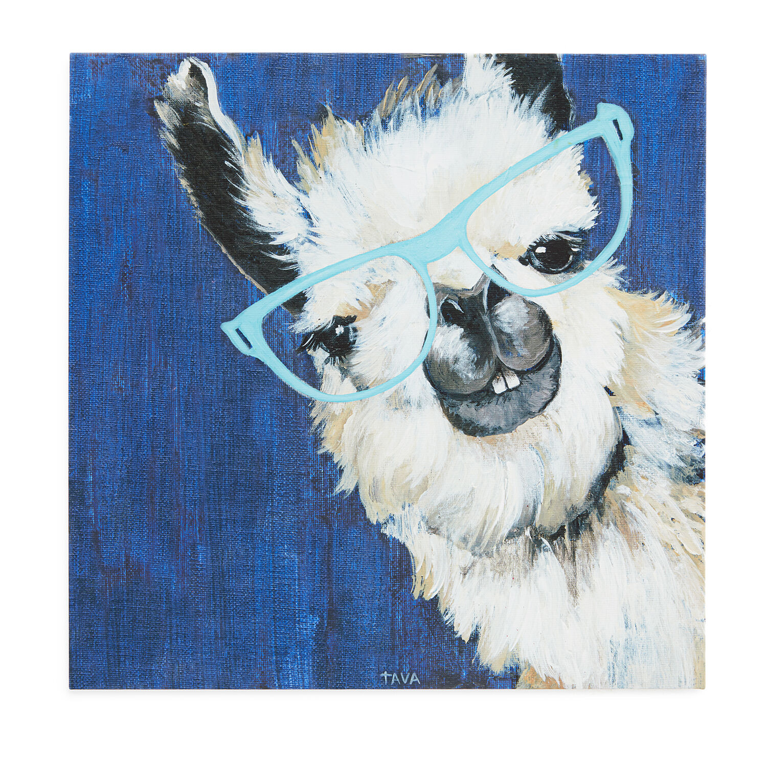 Funky Llama Canvas 70 x 70cm