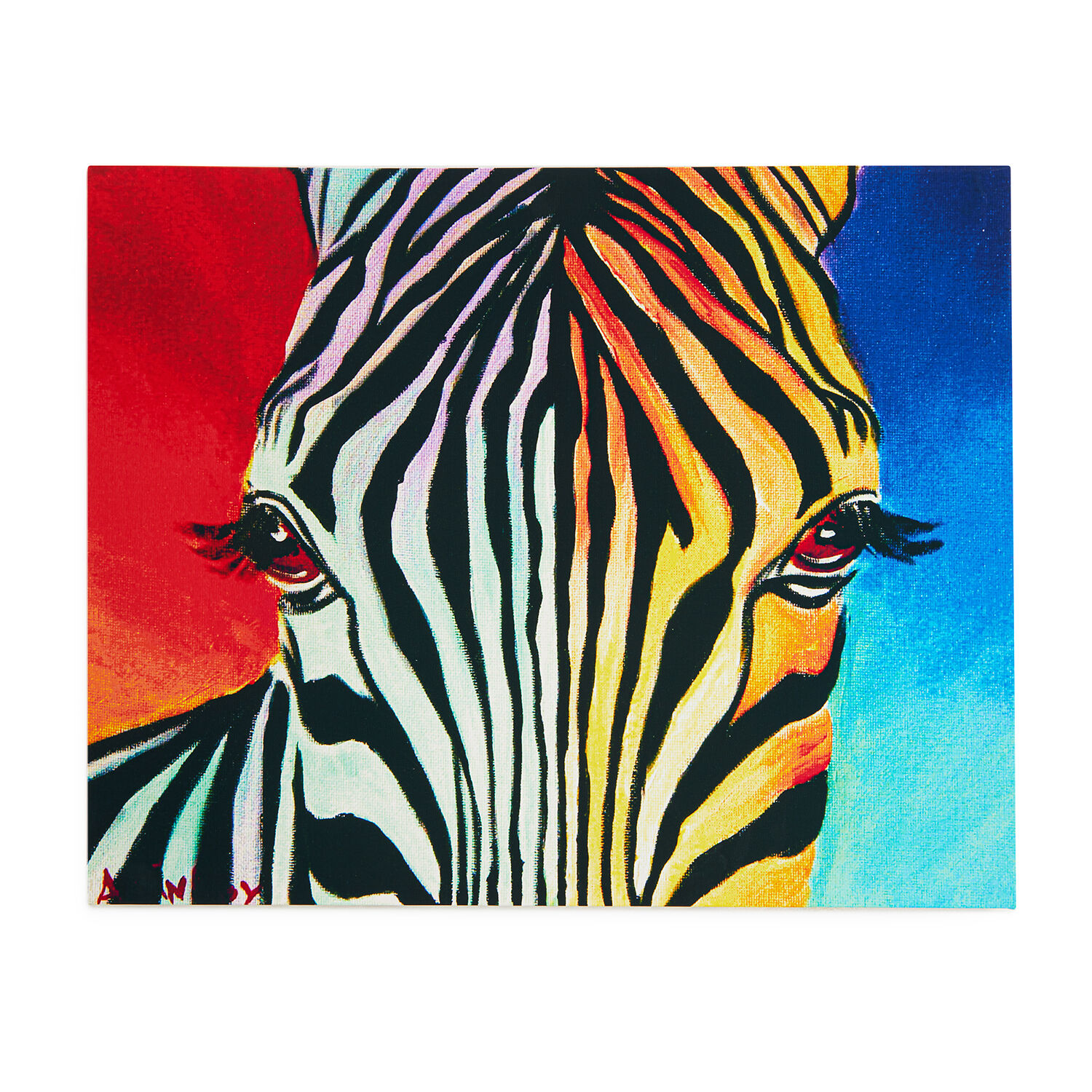 Funky Zebra 75cm x 60cm