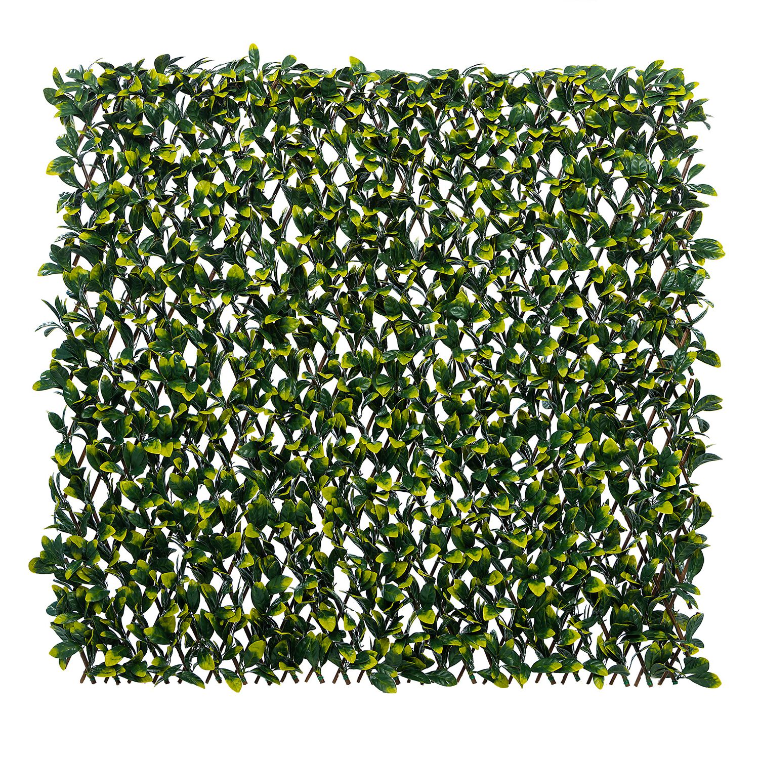 Laurel Willow Trellis 2.0m x 1.0m