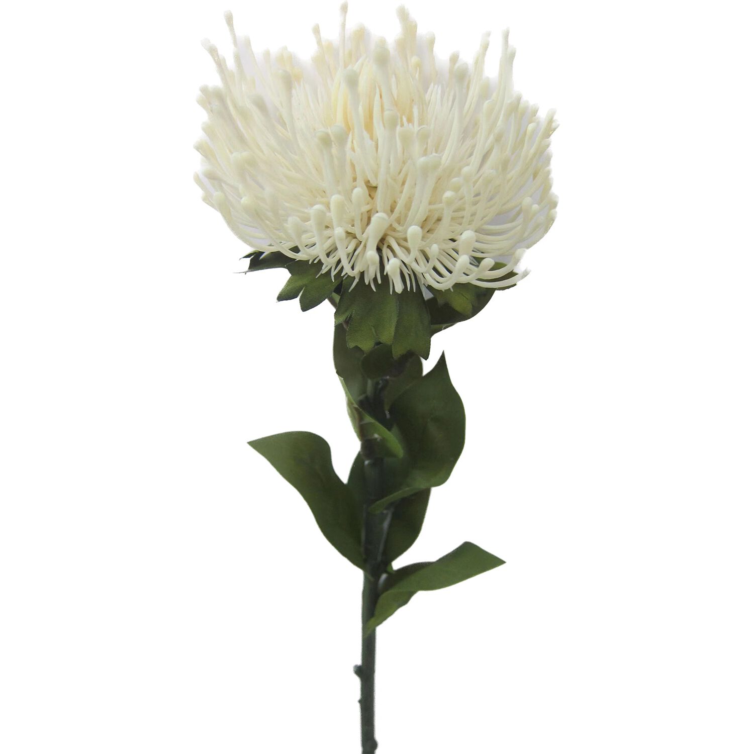 Leucospermum Spray Vanilla Faux Flower