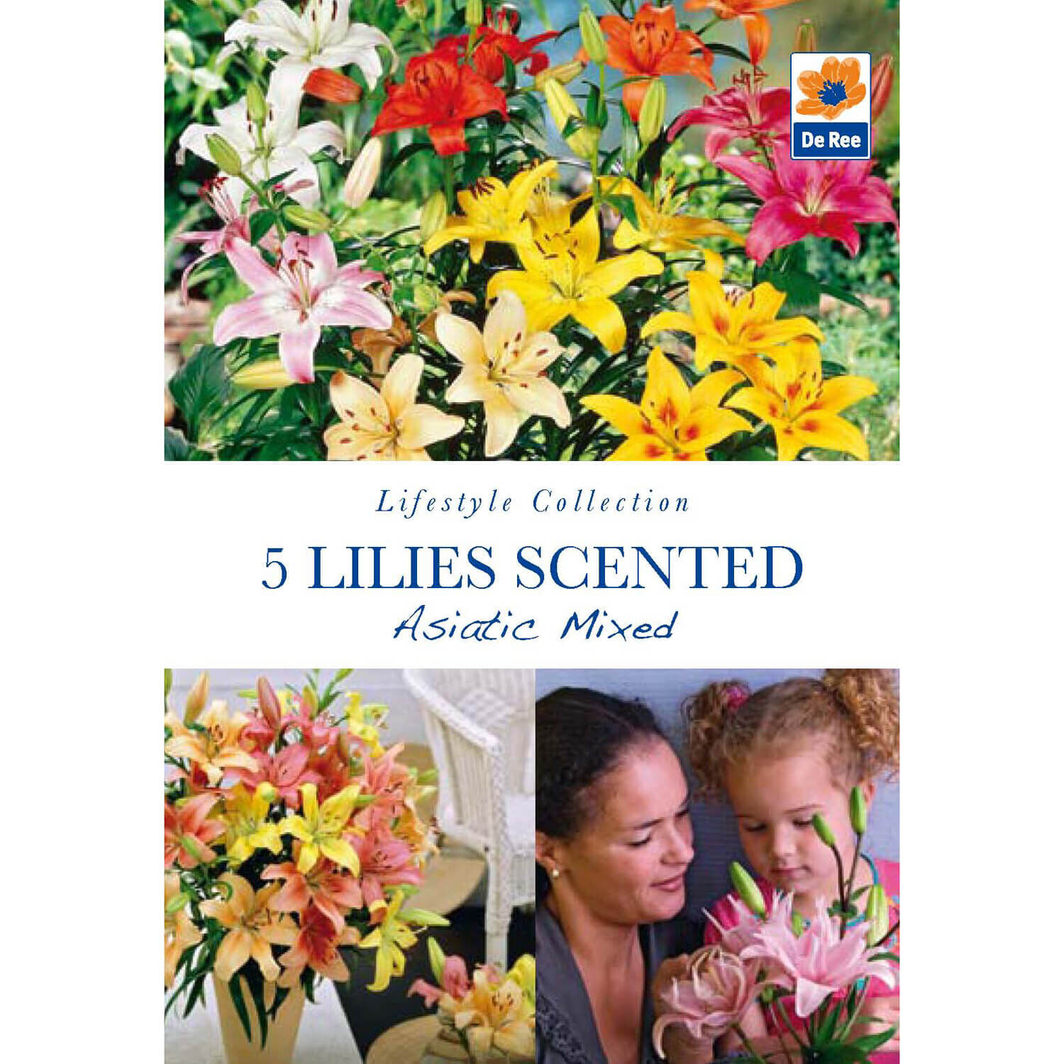 Lilies Scented Asiatic Mixed Flower Bulbs