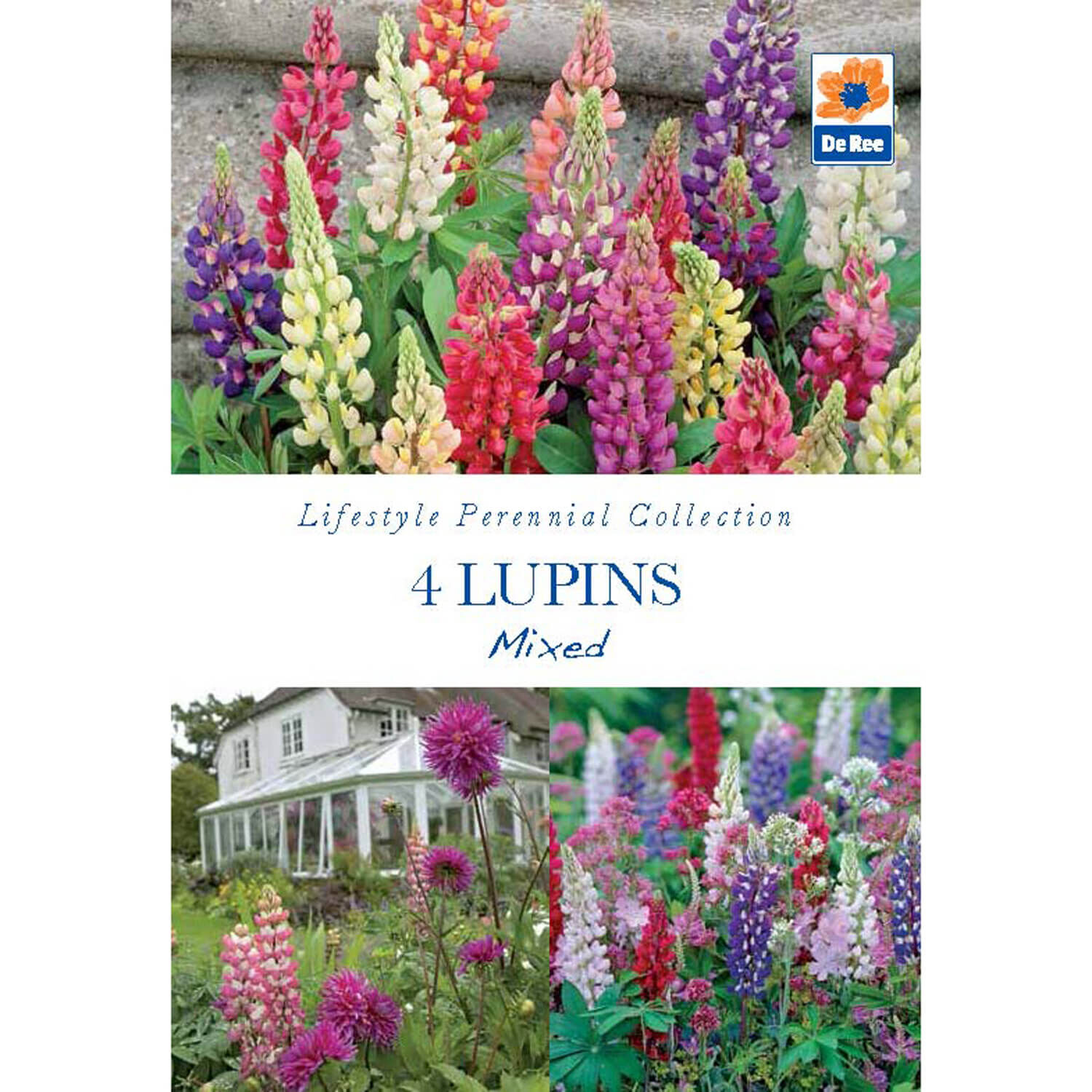 Lupins Mixed