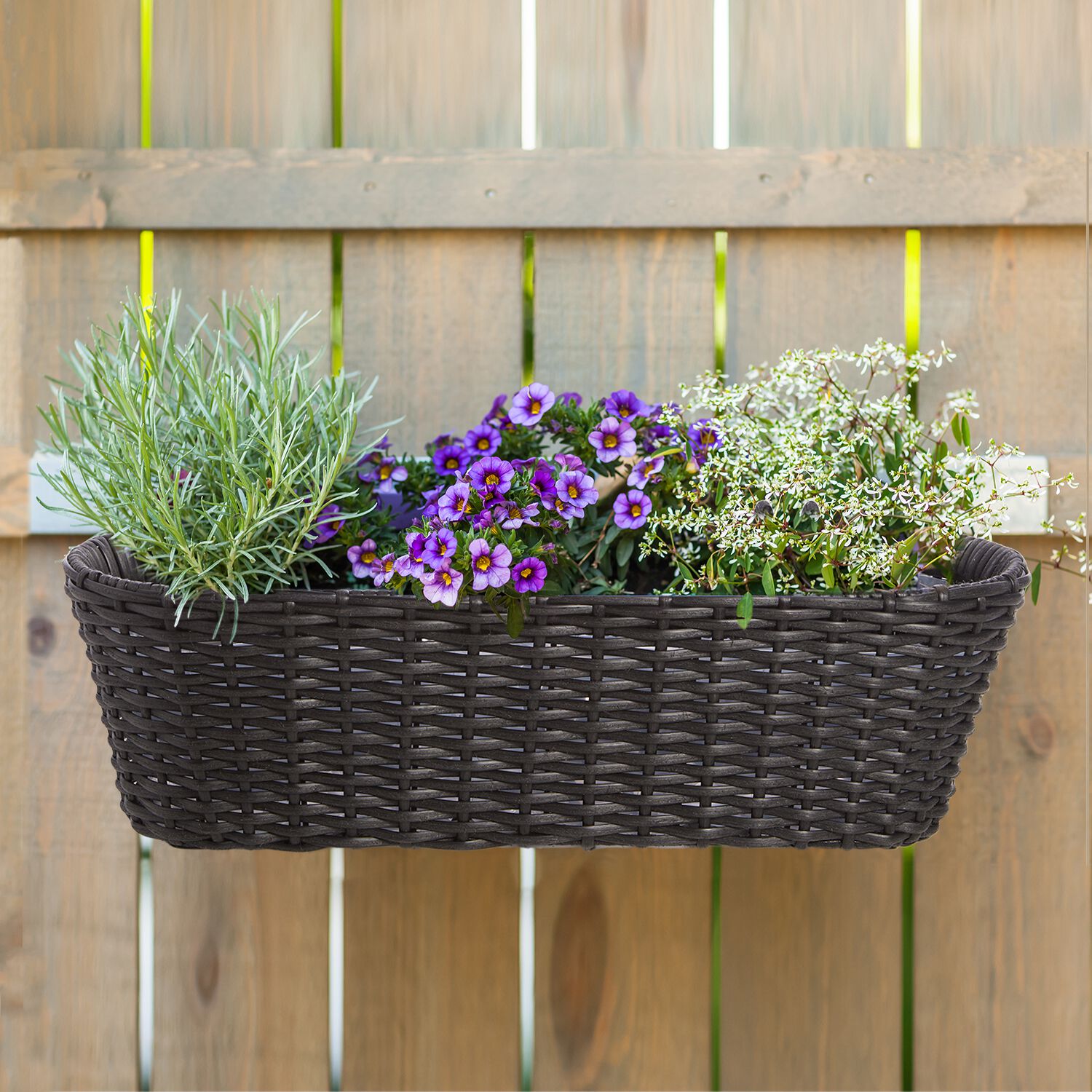 Oval Black Rattan Balcony Hanging Basket 19cm