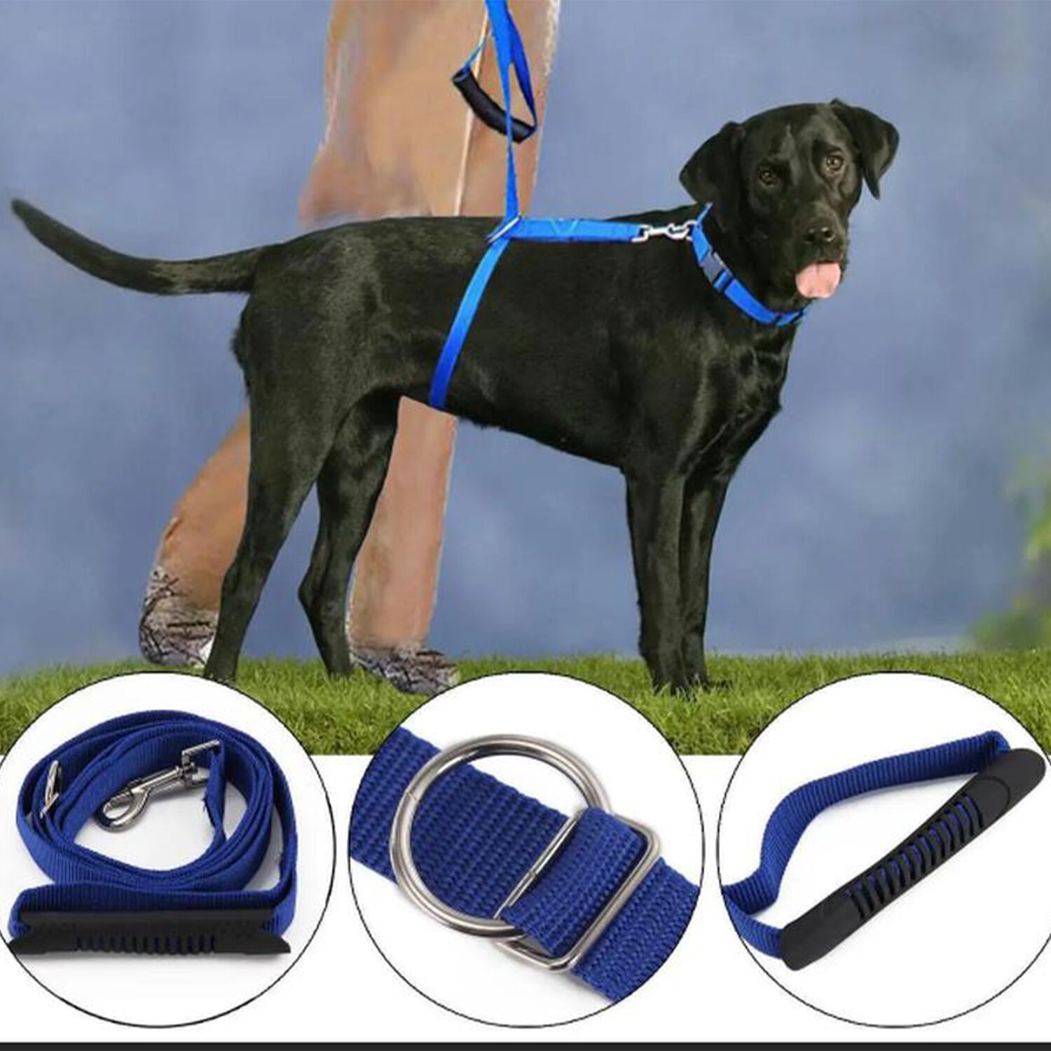 Pet Instant Trainer Leash