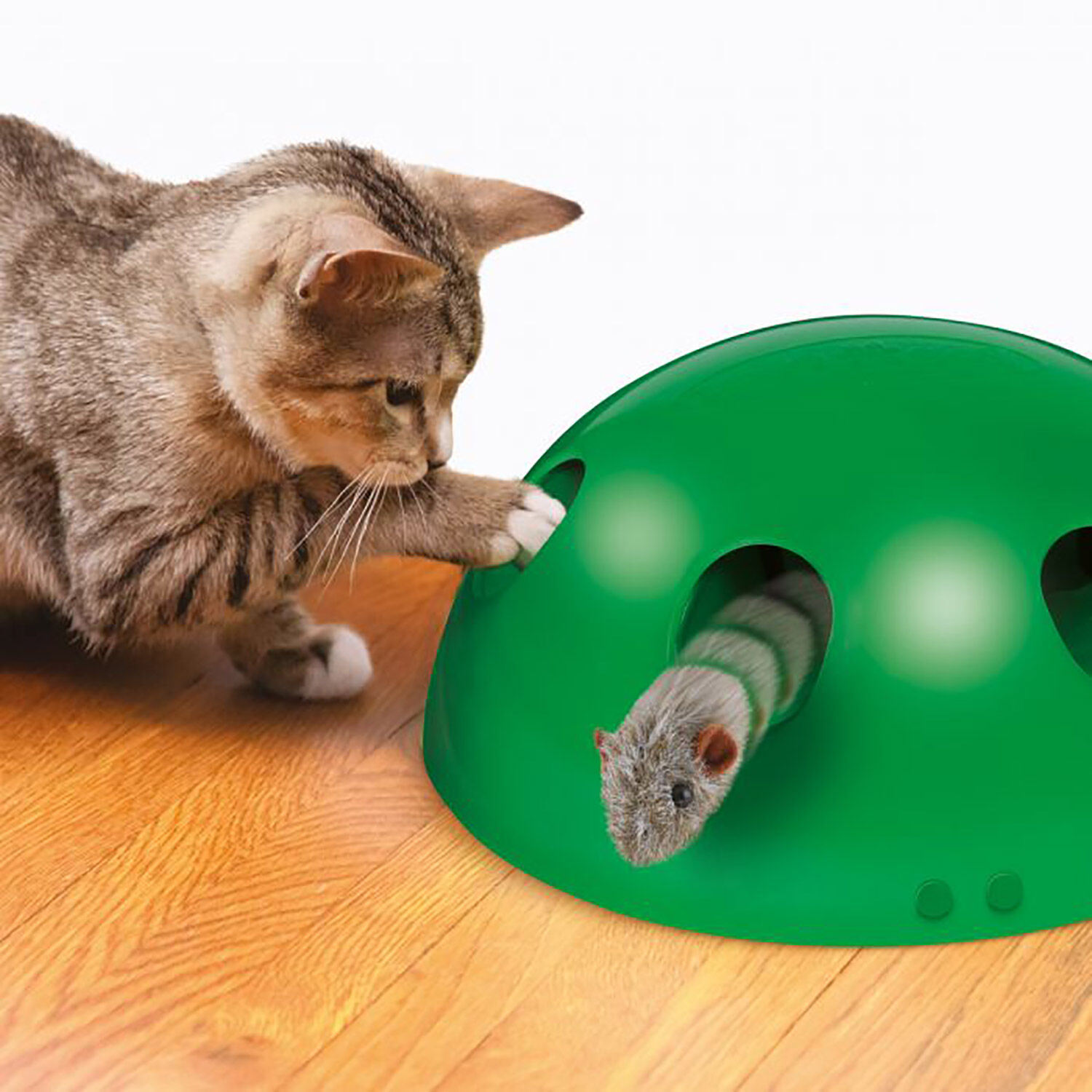 Pop N Play - Cat Toy