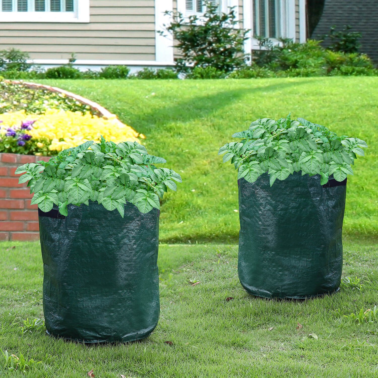 Potato Grow Bags Set of 2