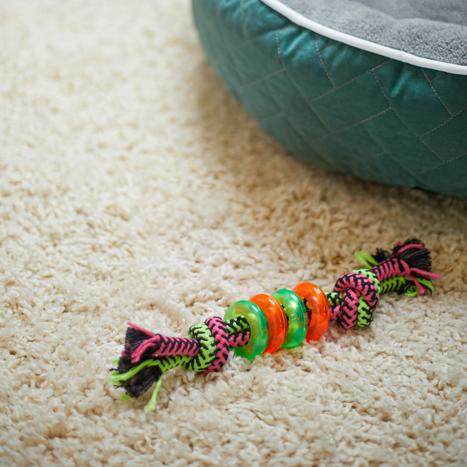 Rope Dog Toy With TPR
