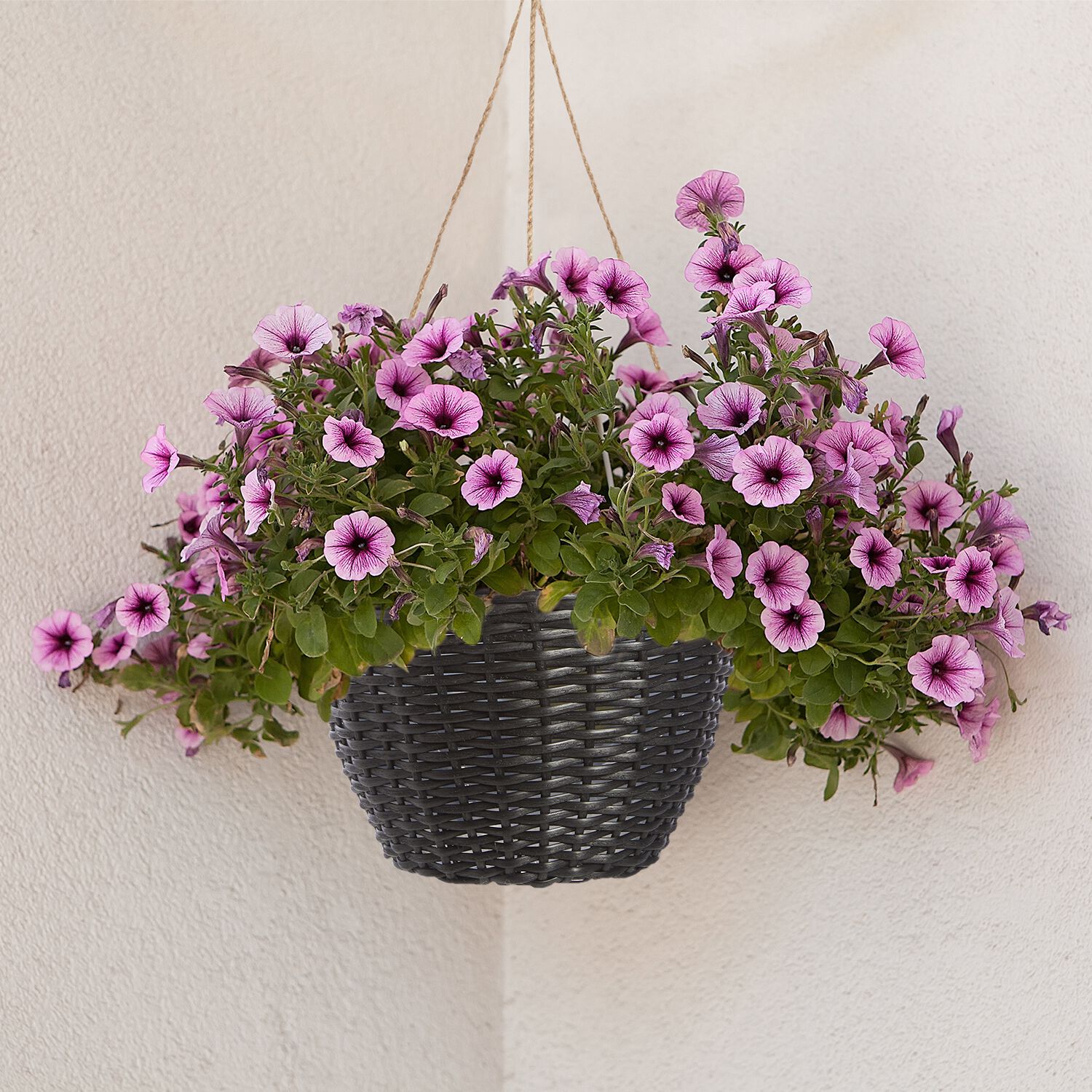 Round Black Rattan Hanging Basket 19cm