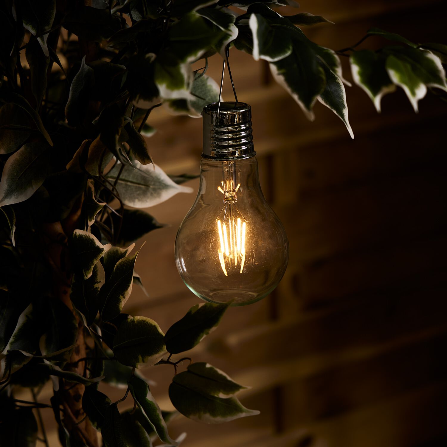 Solar Filament Bulb Light