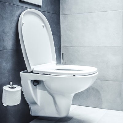 https://www.homestoreandmore.ie/on/demandware.static/-/Sites-HomeStore-Library/default/dw102515c0/Bathroom/toiletseats.jpg