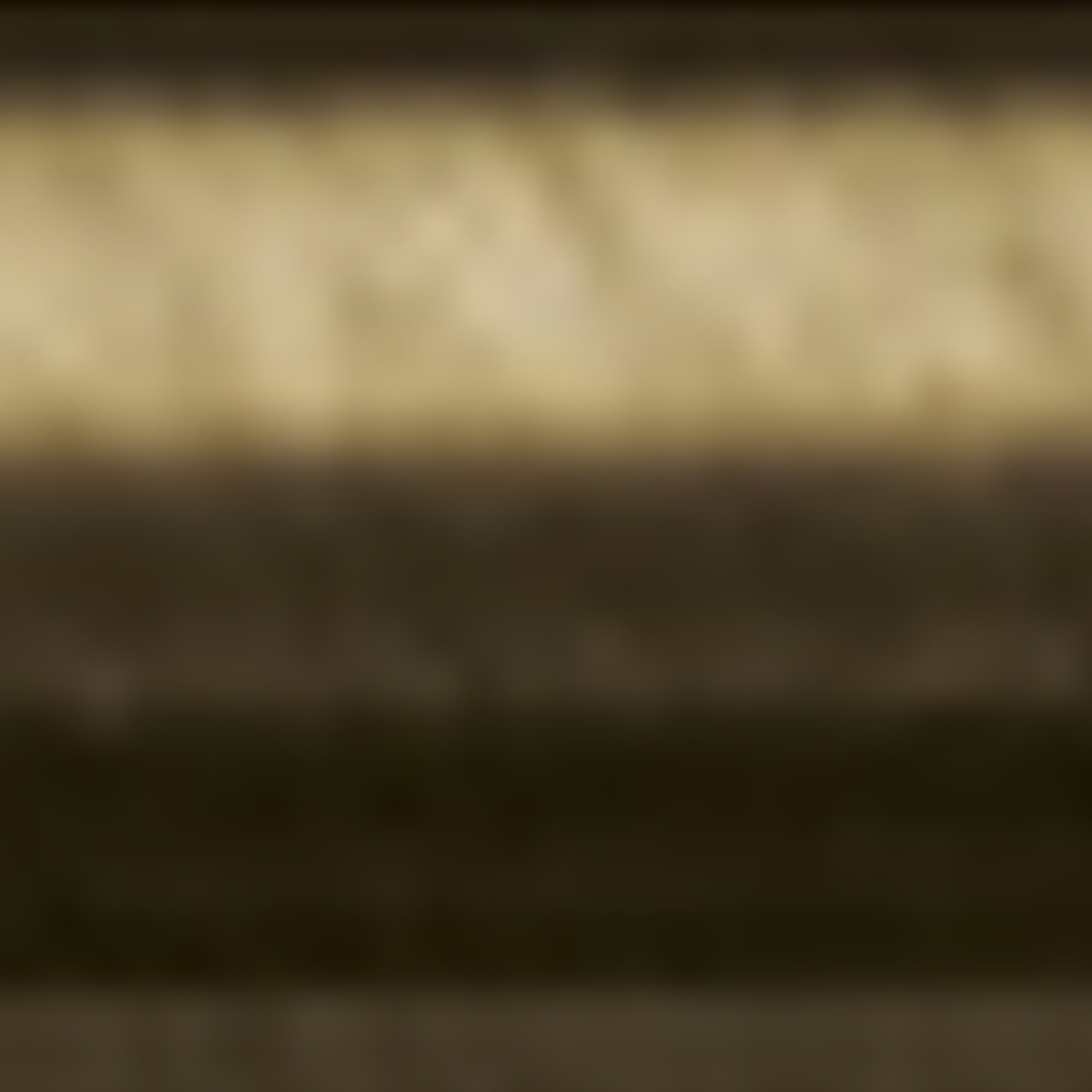 Brass