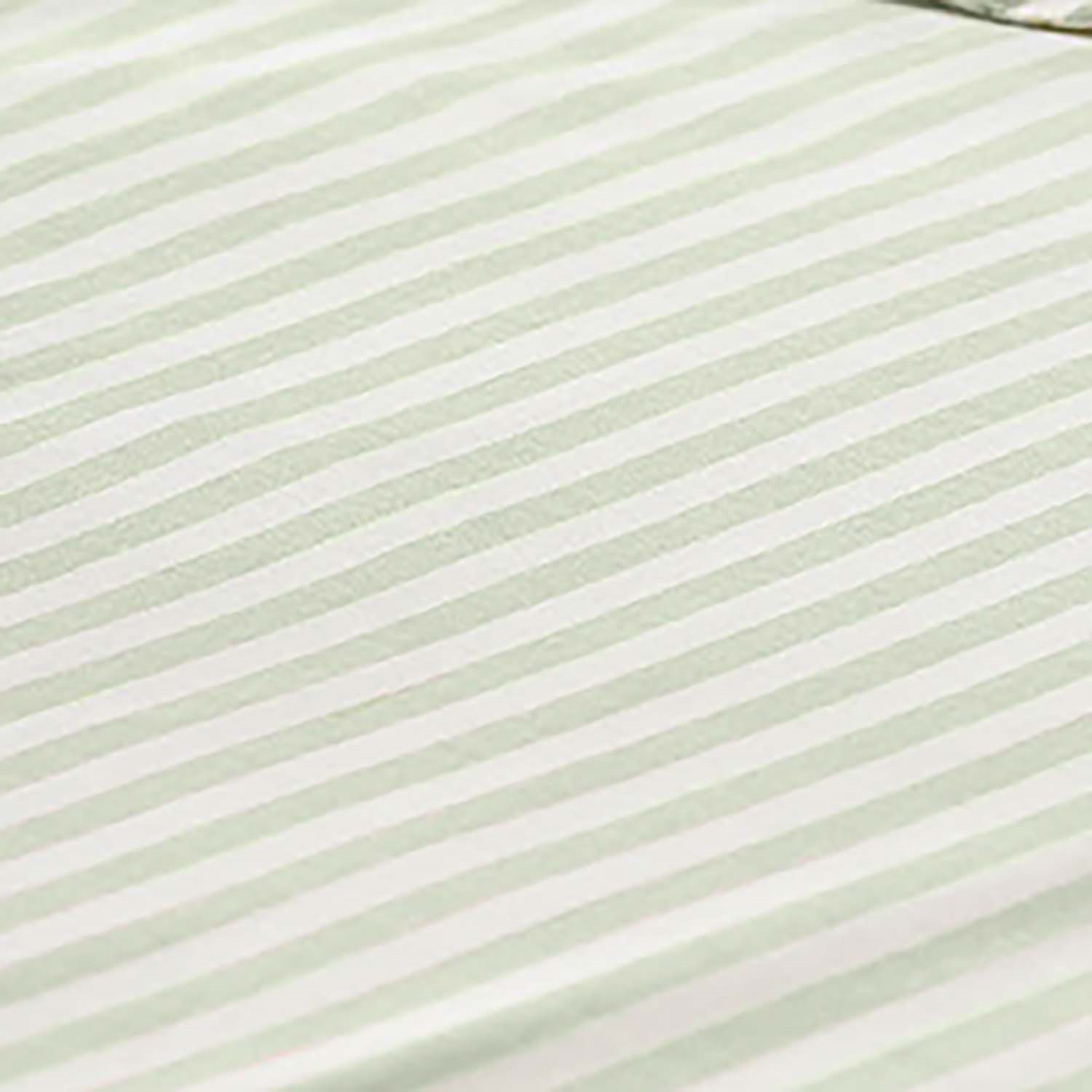 Eucalyptus Green