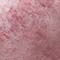 Camellia Pink