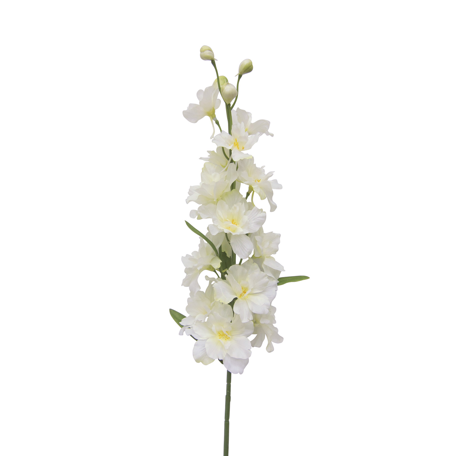 Delphinium Spike Cottage Garden White 69cm Home Store More