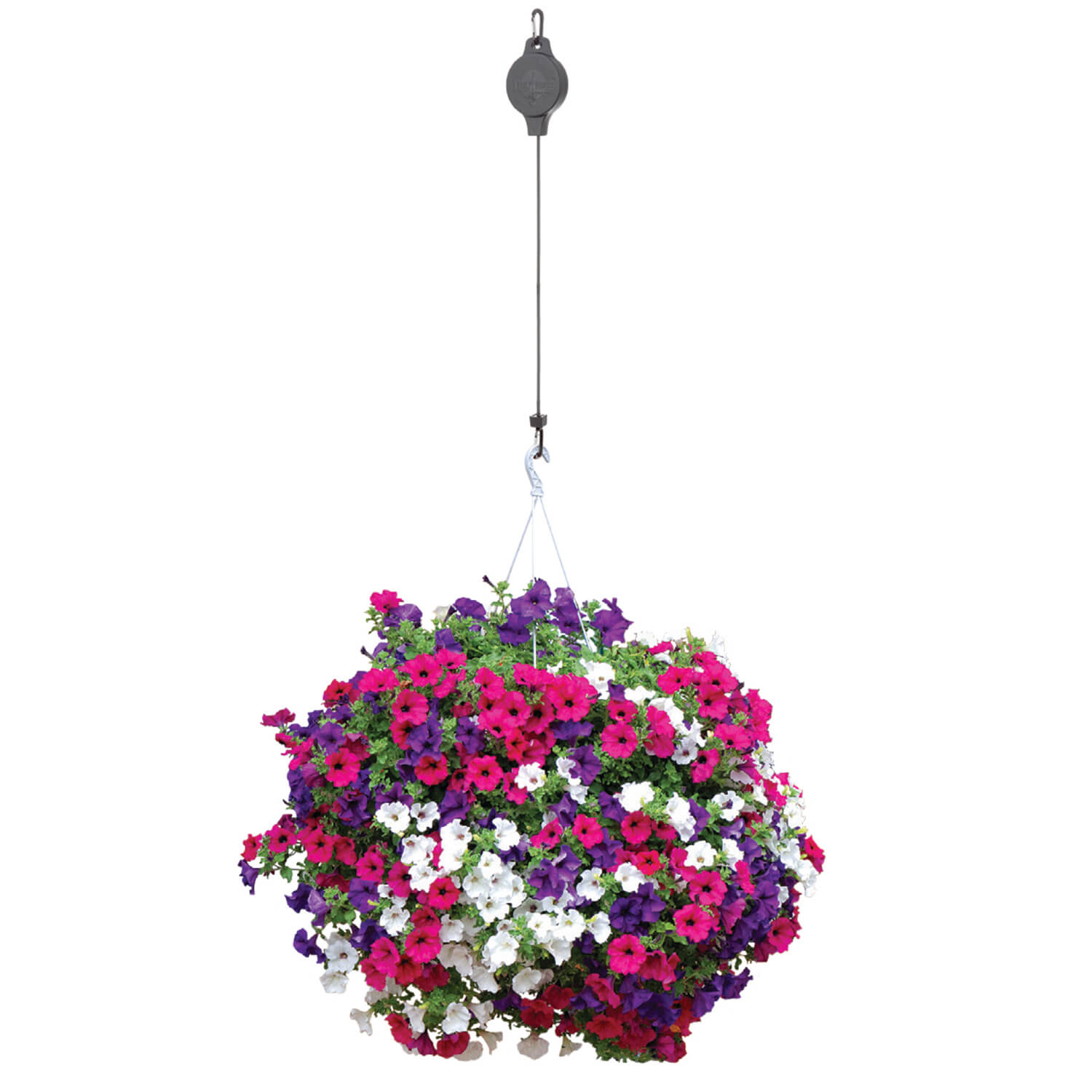 Easy Reach Pulley For Hanging Baskets Home Store More
