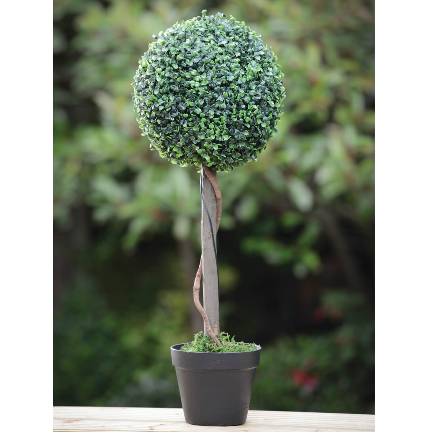 Solar Topiary Tree Home Store + More Solar Topiary Tree Home Store + More